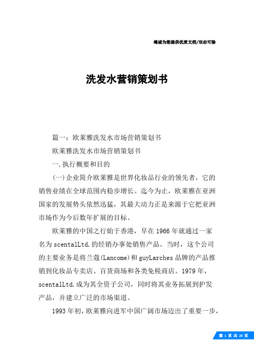 洗发水营销策划书