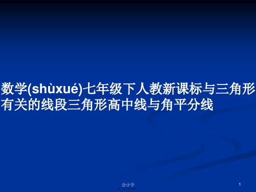 数学七年级下人教新课标与三角形有关的线段三角形高中线与角平分线学习教案