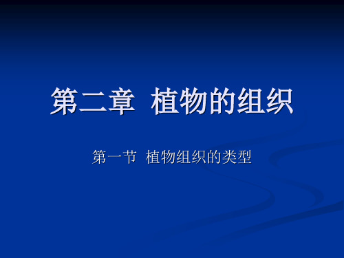 第二章植物的组织