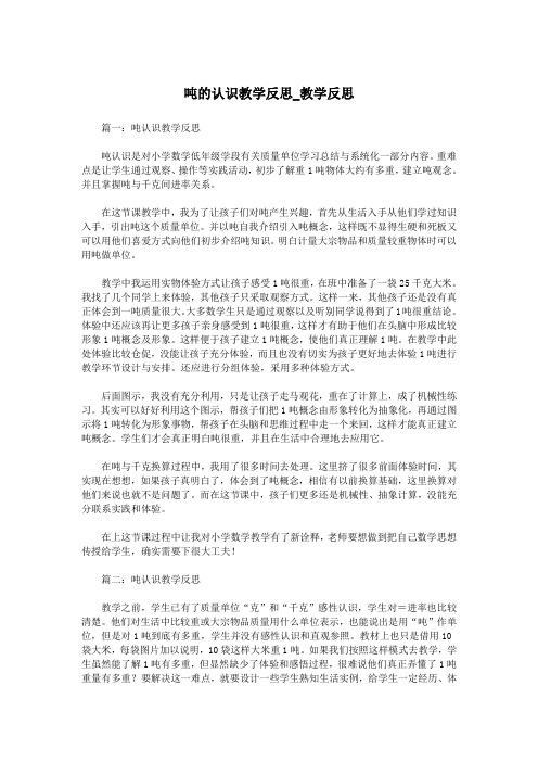 吨的认识教学反思_教学反思.doc
