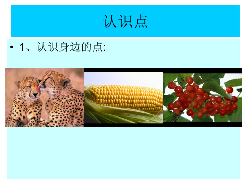 美术二年级上《3点线面》