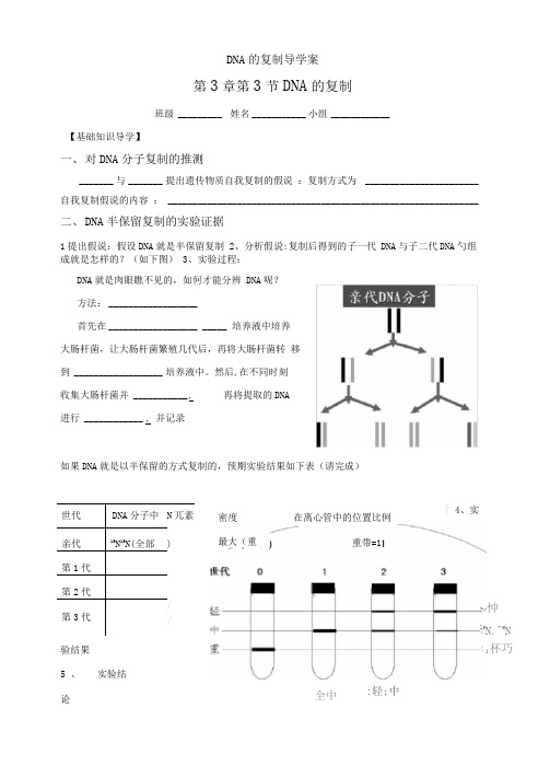 DNA的复制导学案