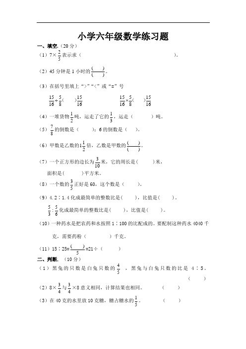 小学六年级数学练习题