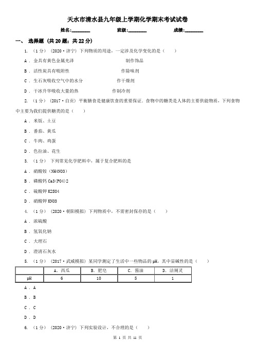 天水市清水县九年级上学期化学期末考试试卷