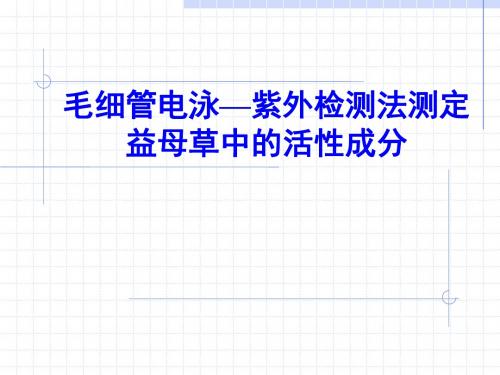 毛细管电泳—紫外检测法测定-文档资料
