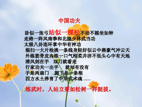 大树和我们的生活PPT教学课件