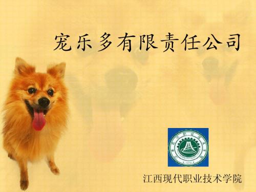 宠乐多创业PPT