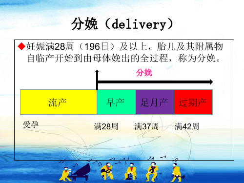 产科正常分娩机制教学内容