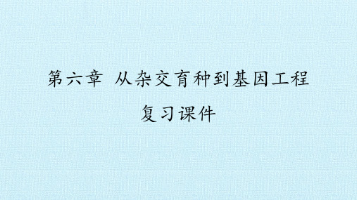 人教版必修2生物：第六章 从杂交育种到基因工程 复习课件 课件(共69张PPT)