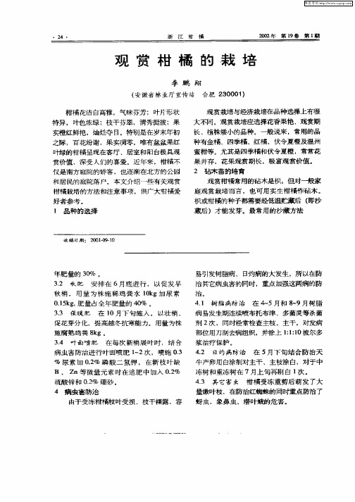 观赏柑橘的栽培