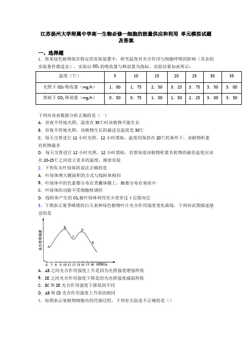 江苏扬州大学附属中学高一生物必修一细胞的能量供应和利用 单元模拟试题及答案