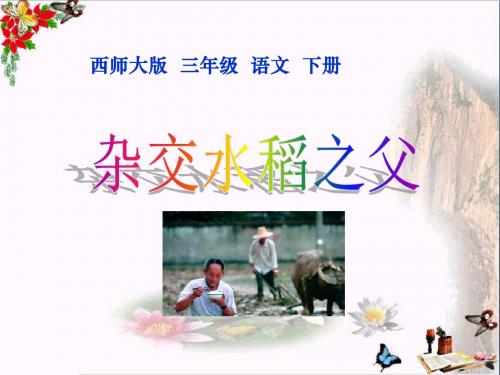 《杂交水稻之父》PPT优秀课件
