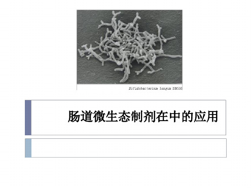 肠道微生态制剂在ICU中的应用