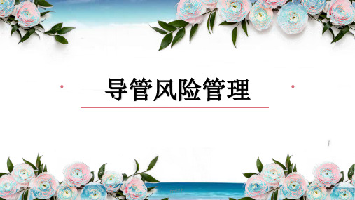 导管风险管理  ppt课件