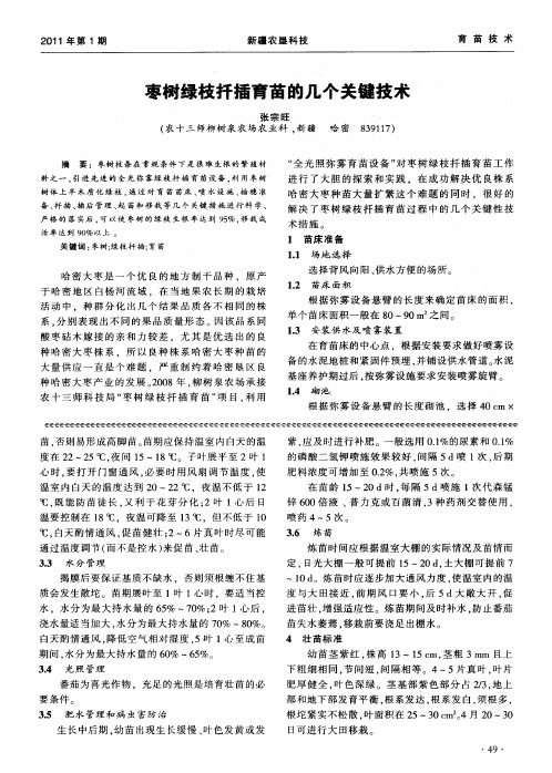 枣树绿枝扦插育苗的几个关键技术