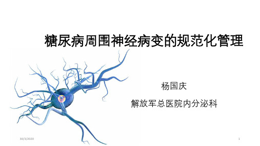 糖尿病周围神经病变的规范化管理 PPT课件