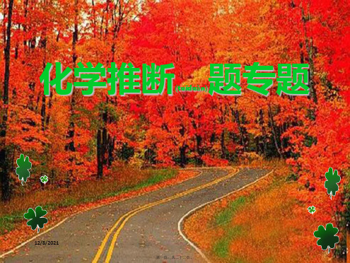 中考化学 推断题专题复习课件