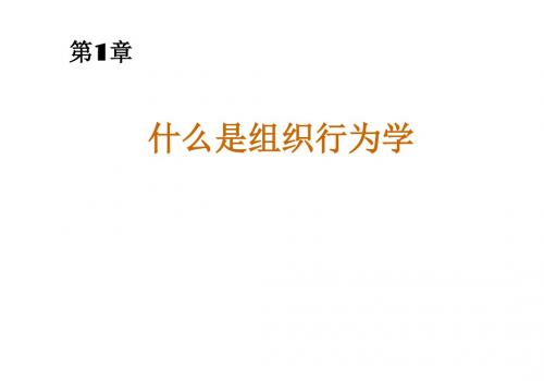 组织设计-什么是组织行为学(PPT38页)