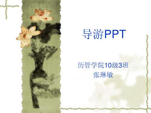 导游PPT