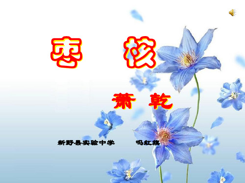 枣核ppt