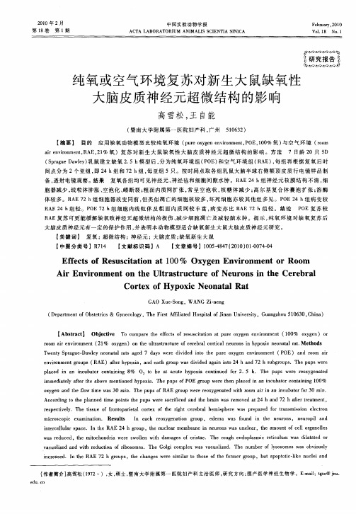 纯氧或空气环境复苏对新生大鼠缺氧性大脑皮质神经元超微结构的影响