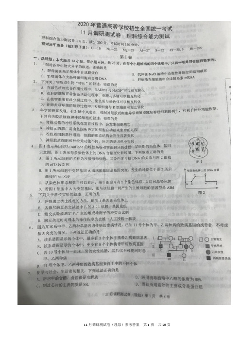 2020年高考调研考试(理科综合)试题及答案