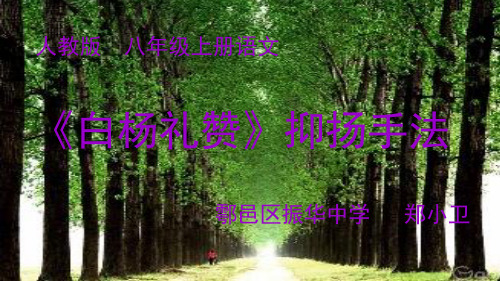 《白杨礼赞》抑扬手法  微课录制版