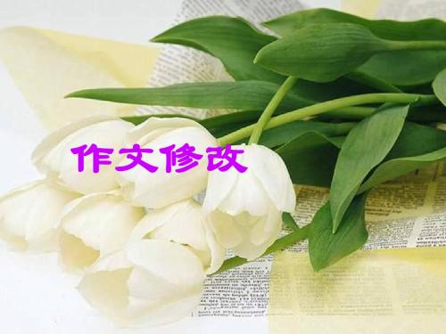 作文讲评及修改(二)