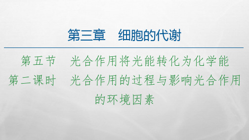 新浙科版必修第一光合作用的过程与影响光合作用的环境因素课件(93张)