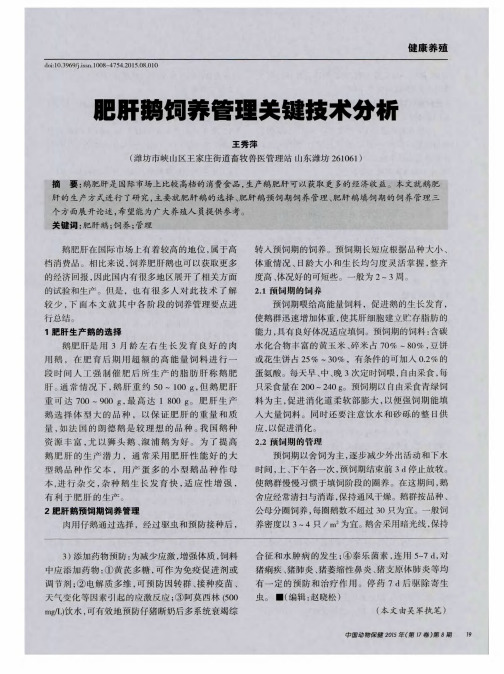 肥肝鹅饲养管理关键技术分析