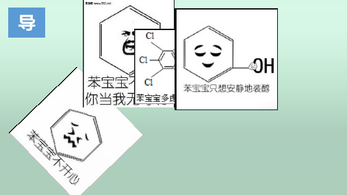 人教版高中化学必修二 第三章 第二节 来自石油和煤的两种基本化工原料 第二课时 苯 课时1