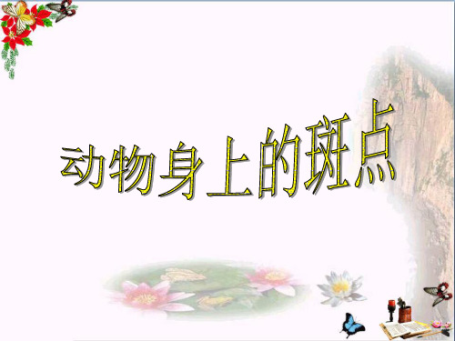 (精选)一年级美术上册第17课动物身上的斑点PPT课件2浙美版