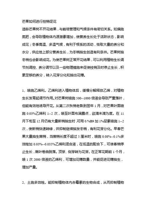 芒果如何进行控梢促花