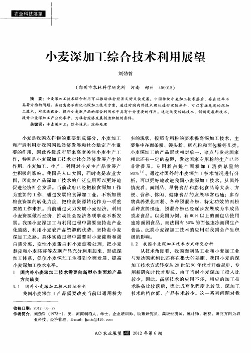小麦深加工综合技术利用展望