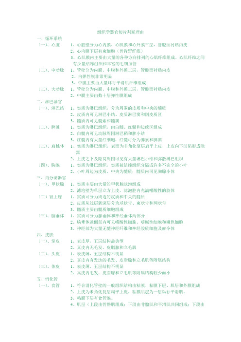 组织学器官切片判断理由