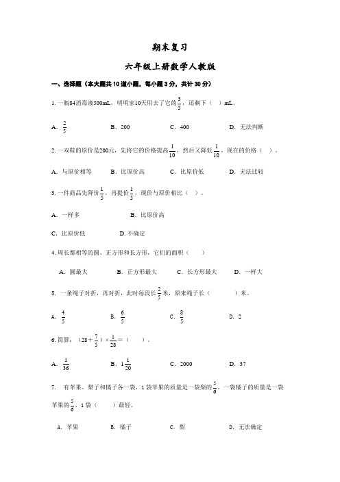 期末复习(试题)六年级上册数学人教版 