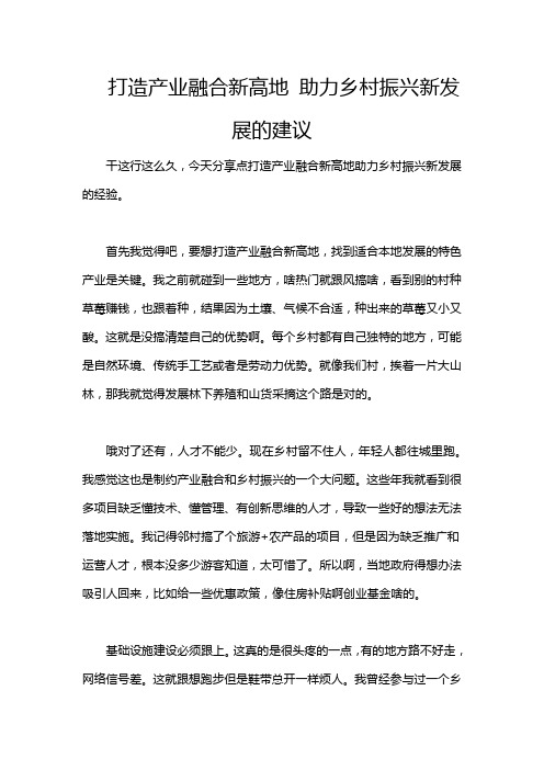 打造产业融合新高地 助力乡村振兴新发展的建议