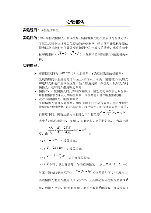 偏振光的研究