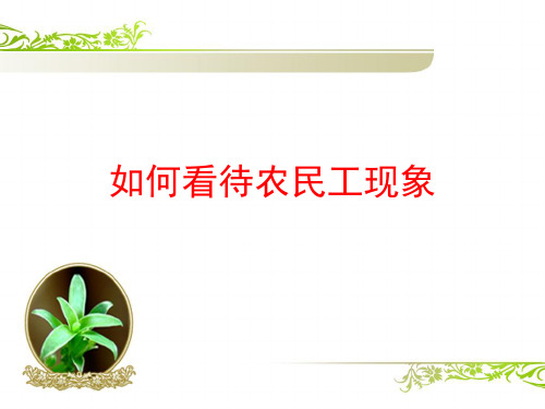 《如何看待农民工现象》PPT课件