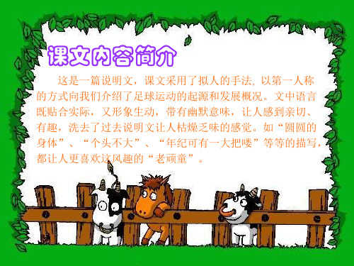 一年级语文我叫足球(PPT)4-4