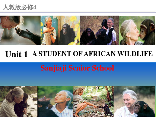 人教高中英语必修4unit1reading (共25张ppt)