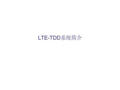 TD-LTE_信道讲解