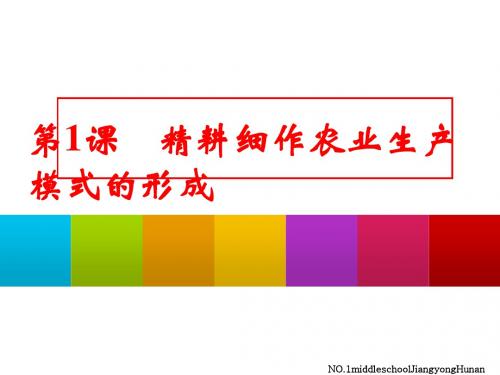 精耕细作农业生产模式的形成 PPT课件27 岳麓版高中历史