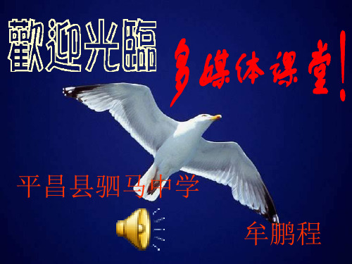《宽容》序言房龙课件