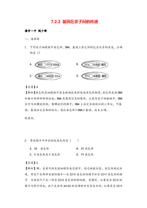 八年级下册生物7.2.2 基因在亲子间的传递同步测试