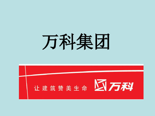 万科集团融资商业计划书