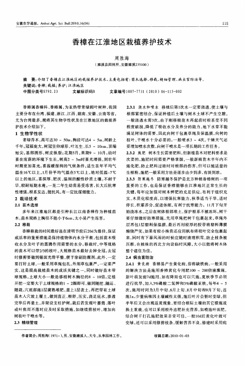 香樟在江淮地区栽植养护技术