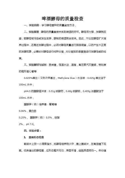 啤酒酵母的质量检查