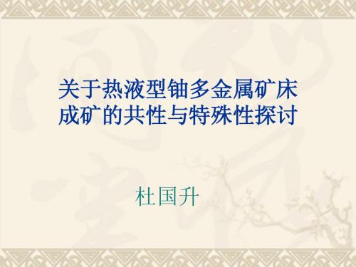 杜总课件