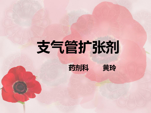 支气管扩张药+-+副本2